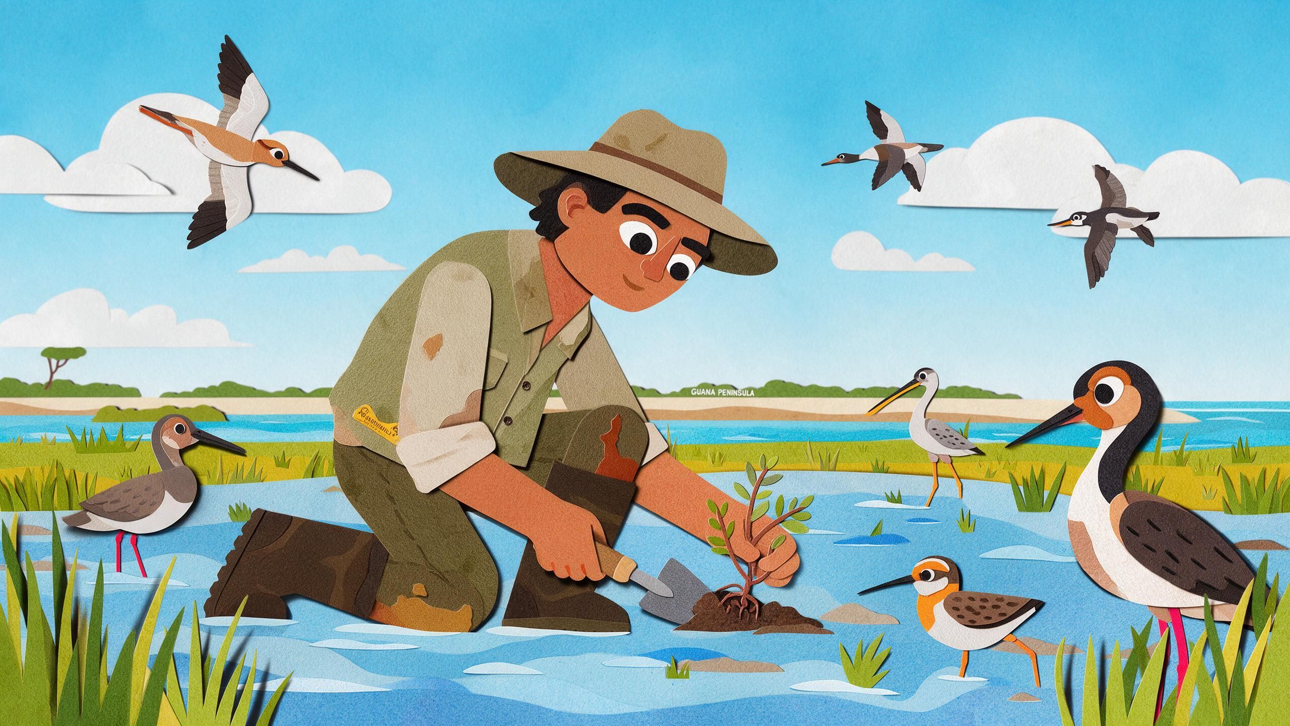 Researchers track salt marsh migration in Florida